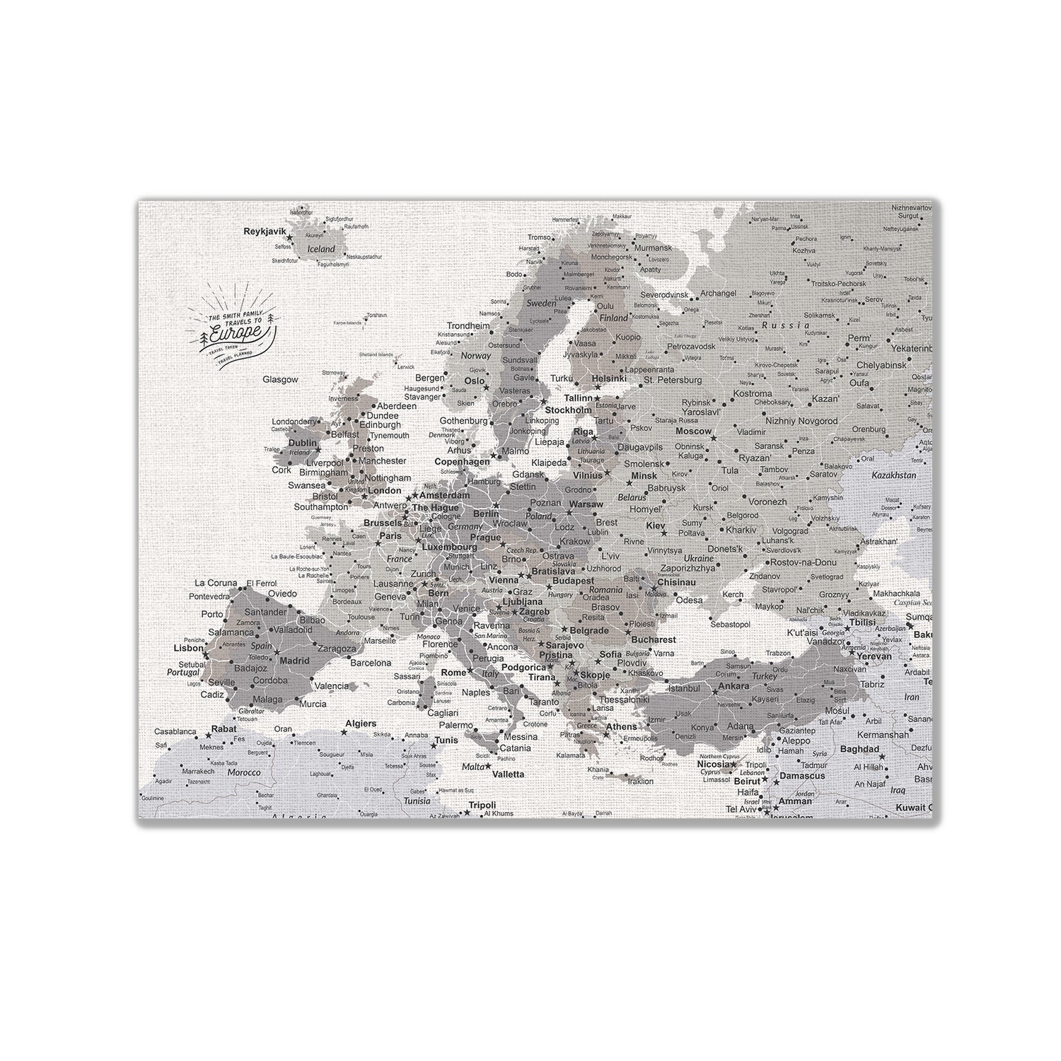 Europe Push Pin Map - Grey - WITH 1,000 PINS!