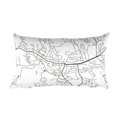 Boone Map Pillow – Modern Map Art