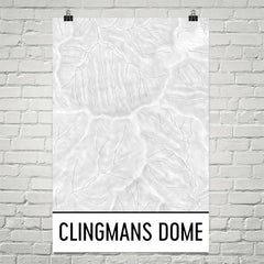 Clingmans Dome Topographic Map Art