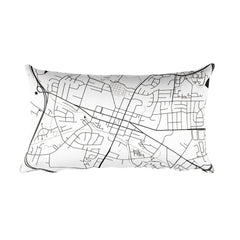 Leesburg Map Pillow – Modern Map Art