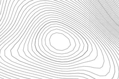 Longs Peak Topographic Map Art