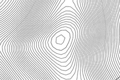 Maroon Bells Topographic Map Art