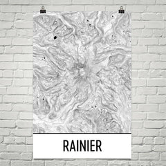 Mount Rainier Topographic Map Art