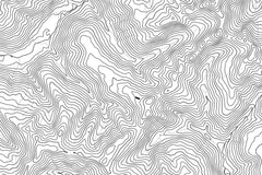 Olympic National Park Topographic Map Art
