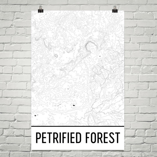 Petrified Forest National Park Topographic Map Art
