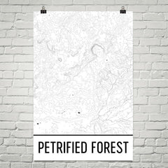 Petrified Forest National Park Topographic Map Art
