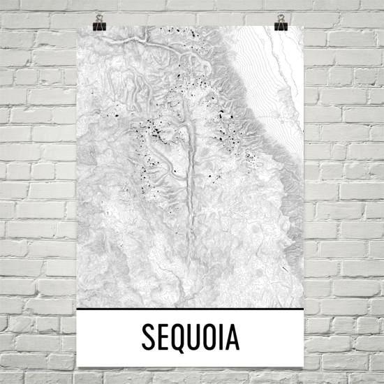 Sequoia National Park Topographic Map Art
