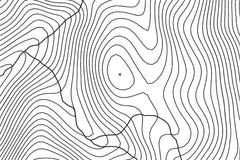 Springer Mountain Topographic Map Art
