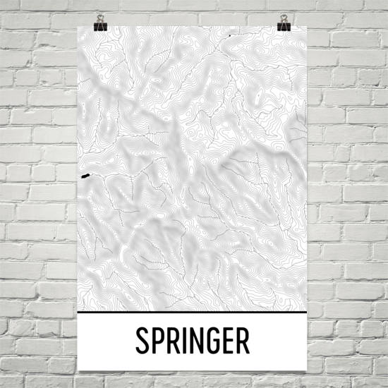 Springer Mountain Topographic Map Art