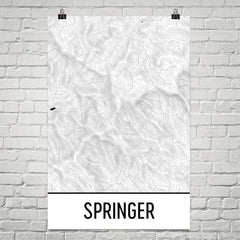 Springer Mountain Topographic Map Art
