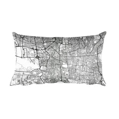 Tehran Map Pillow – Modern Map Art