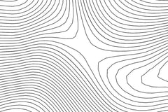 Twin Peaks Topographic Map Art