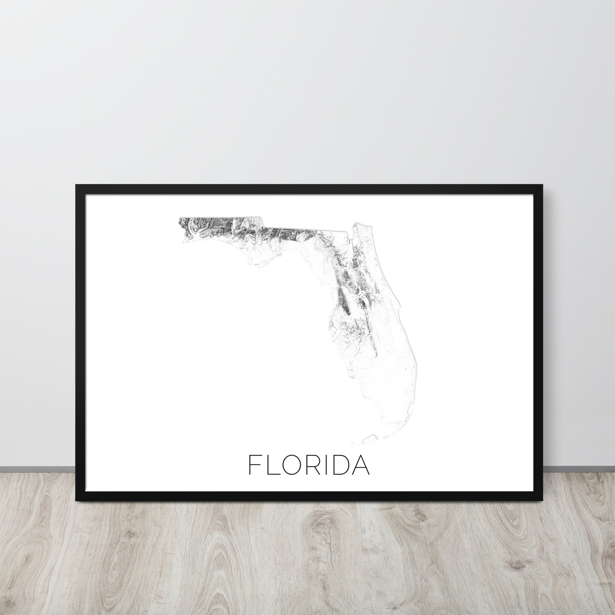 Florida State Topographic Map Art