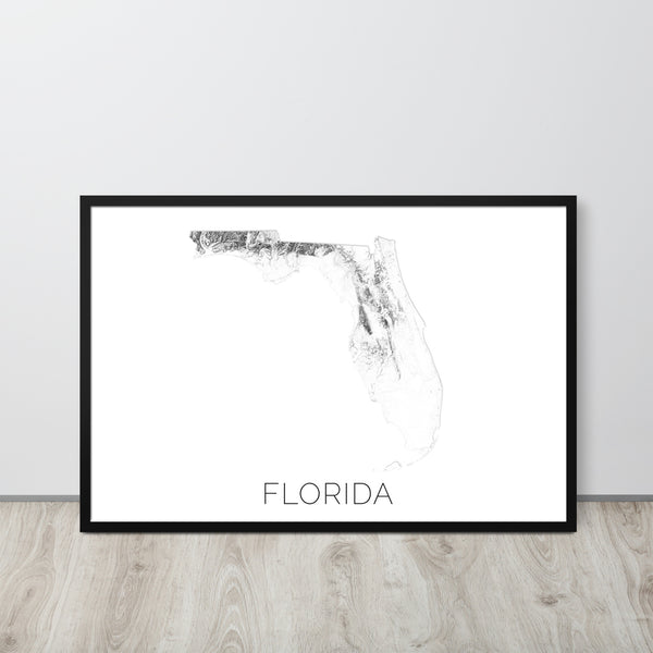 Florida State Topographic Map Art