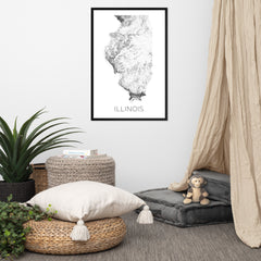 Illinois State Topographic Map Art