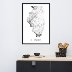 Illinois State Topographic Map Art