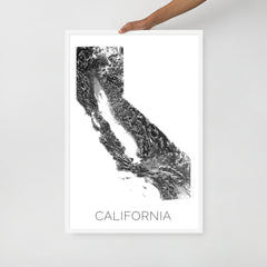 California State Topographic Map Art