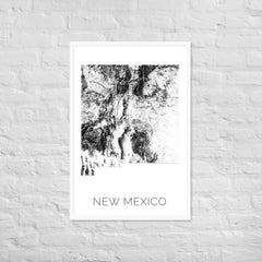 New Mexico State Topographic Map Art