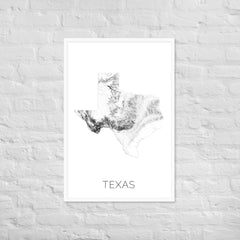 Texas State Topographic Map Art