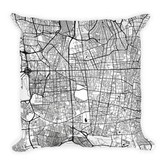 Tehran black and white throw pillow with city map print 18x18