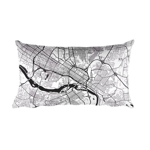 Map Pillow