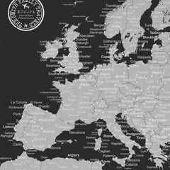 Europe Push Pin Map - Black and Grey - WITH 1,000 PINS!